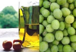 Presentaciones del aceite y el olivo