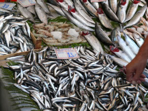 Los pescados y mariscos, son fuentes abundantes de omega 3, en especial los pescados azules.