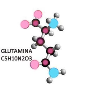 Molécula de glutamina