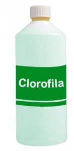 Bote clorofila