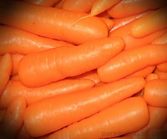 zanahoria, raíz comestible